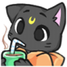 catsip catsip